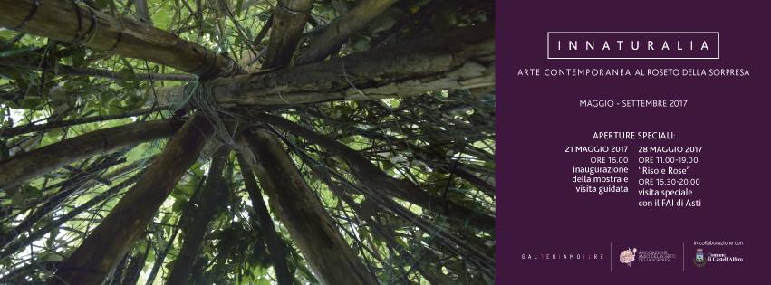 18301941_1769404426705750_7921214612981427923_n